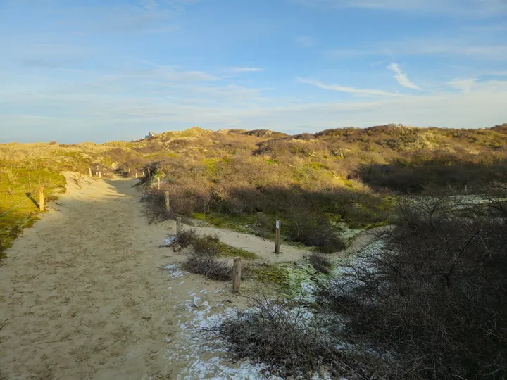 Oostnieuwkerke duinen wandeling in de koude (België)